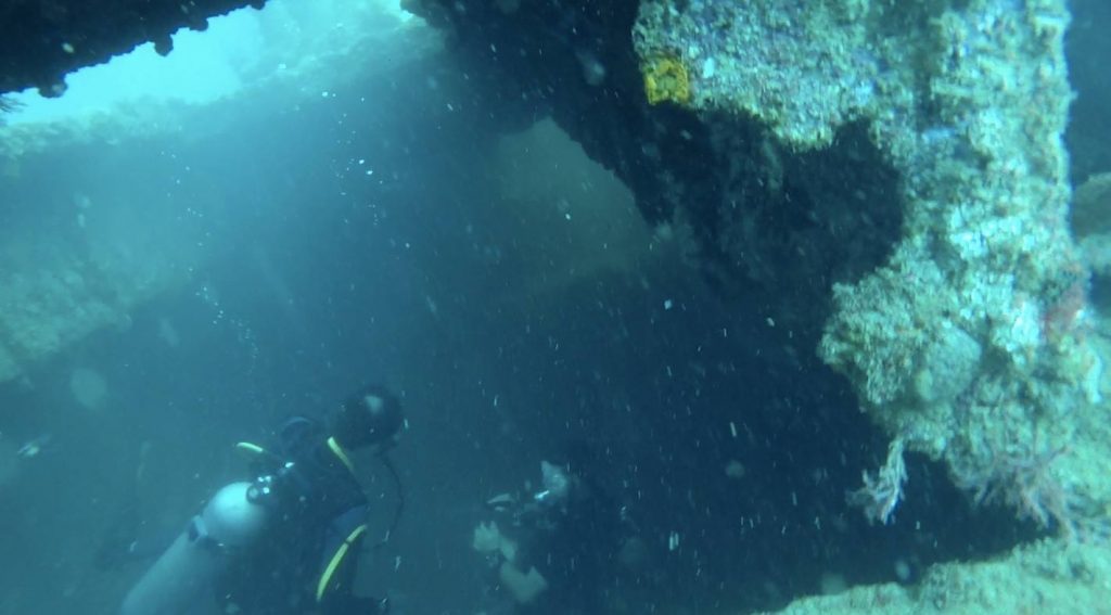 14362428_332521910424413_5349951116386485098_o